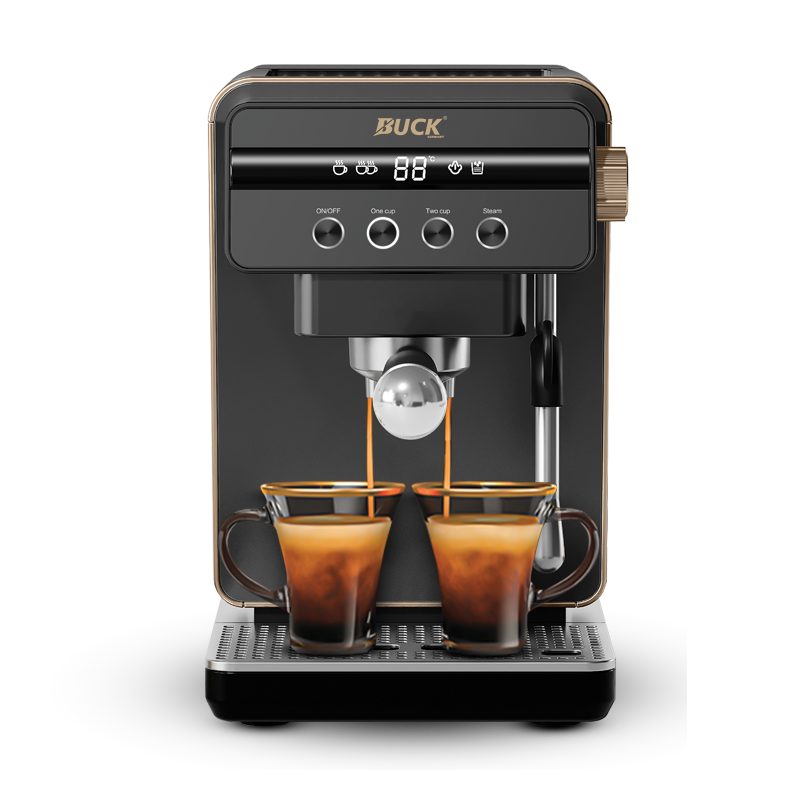 اسپرسو ساز باک مدل BK1114